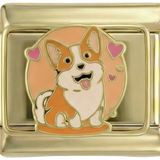 Corgi sobre ouro