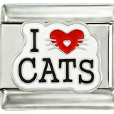 Adoro Gatos