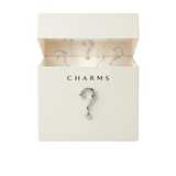 Mystery Box (10 Charms)