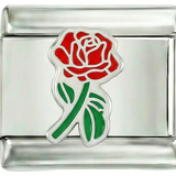 Rosa Vermelha Inteira com o Seu Caule Verde