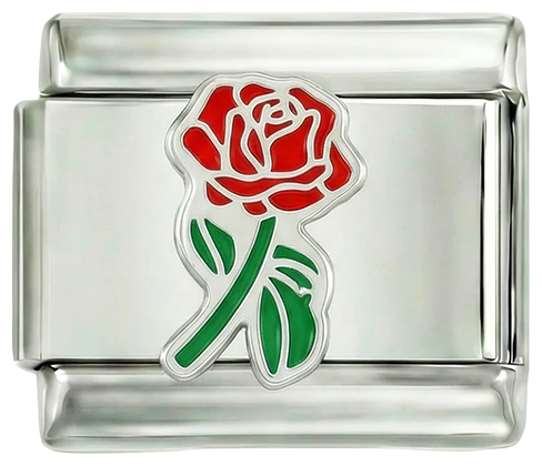 Rosa Vermelha Inteira com o Seu Caule Verde