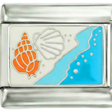 Shells at the Beach on White Sand - shells-at-the-beach-on-white-sand.png